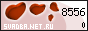 �������.Net.Ru