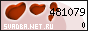 ��������� �������������-��������������� ������ ������� Net Ru