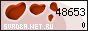 ��������� �������������-��������������� ������ www.SVADBA.net.ru