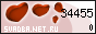 .Net.Ru