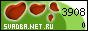 Свадьба.Net.Ru