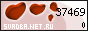Свадьба.Net.Ru