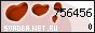 Свадьба.Net.Ru
