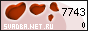 Svadba.Net.Ru