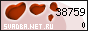 ��������� �������������-��������������� ������ www.SVADBA.net.ru