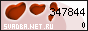 �������.Net.Ru