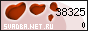 �������.Net.Ru