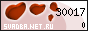 ��������� �������������-��������������� ������ ������� Net Ru