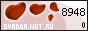 ��������� �������������-��������������� ������ ������� Net Ru