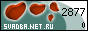 ��������� �������������-��������������� ������ ������� Net Ru