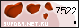 ��������� �������������-��������������� ������ ������� Net Ru