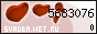 ��������� �������������-��������������� ������ ������� Net Ru