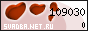 ��������� �������������-��������������� ������ ������� Net Ru