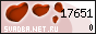 �������.Net.Ru