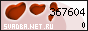 ��������� �������������-��������������� ������ ������� Net Ru
