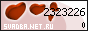 ��������� �������������-��������������� ������ ������� Net Ru