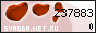 ��������� �������������-��������������� ������ ������� Net Ru