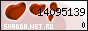 ��������� �������������-��������������� ������ ������� Net Ru