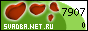 Свадьба.Net.Ru