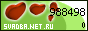 .Net.Ru