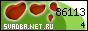 .Net.Ru