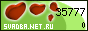 .Net.Ru