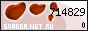 Свадьба.Net.Ru