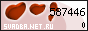 ��������� �������������-��������������� ������ ������� Net Ru