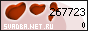 ???????.Net.Ru