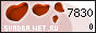 �������.Net.Ru