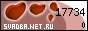 .Net.Ru