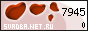 �������.Net.Ru