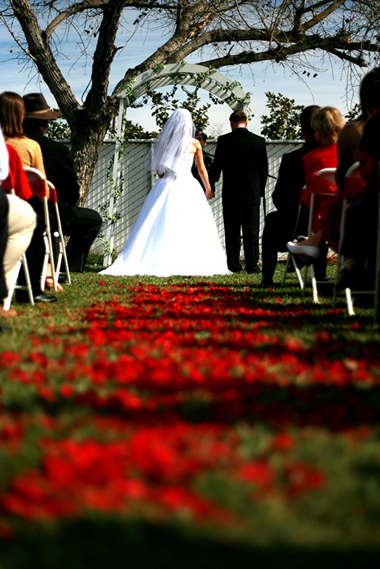 свадьба на природе фото 1 
